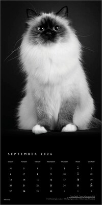 2026 BrownTrout The BrownTrout Portrait Series: The Regal Cat 12" x 12" Monthly Wall Calendar (9798330707874)