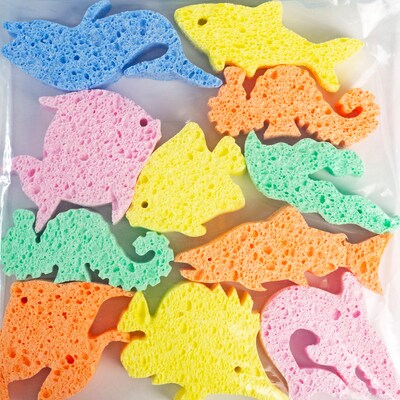 Captain Creative Super Sponges Sea Life Pack, 1, Assorted Colors, 8/Set (APISS18005)