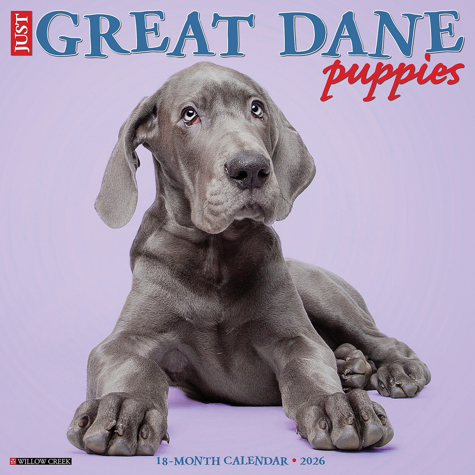 2026 Willow Creek Great Dane Puppies 12 x 12 Monthly Wall Calendar (55441)
