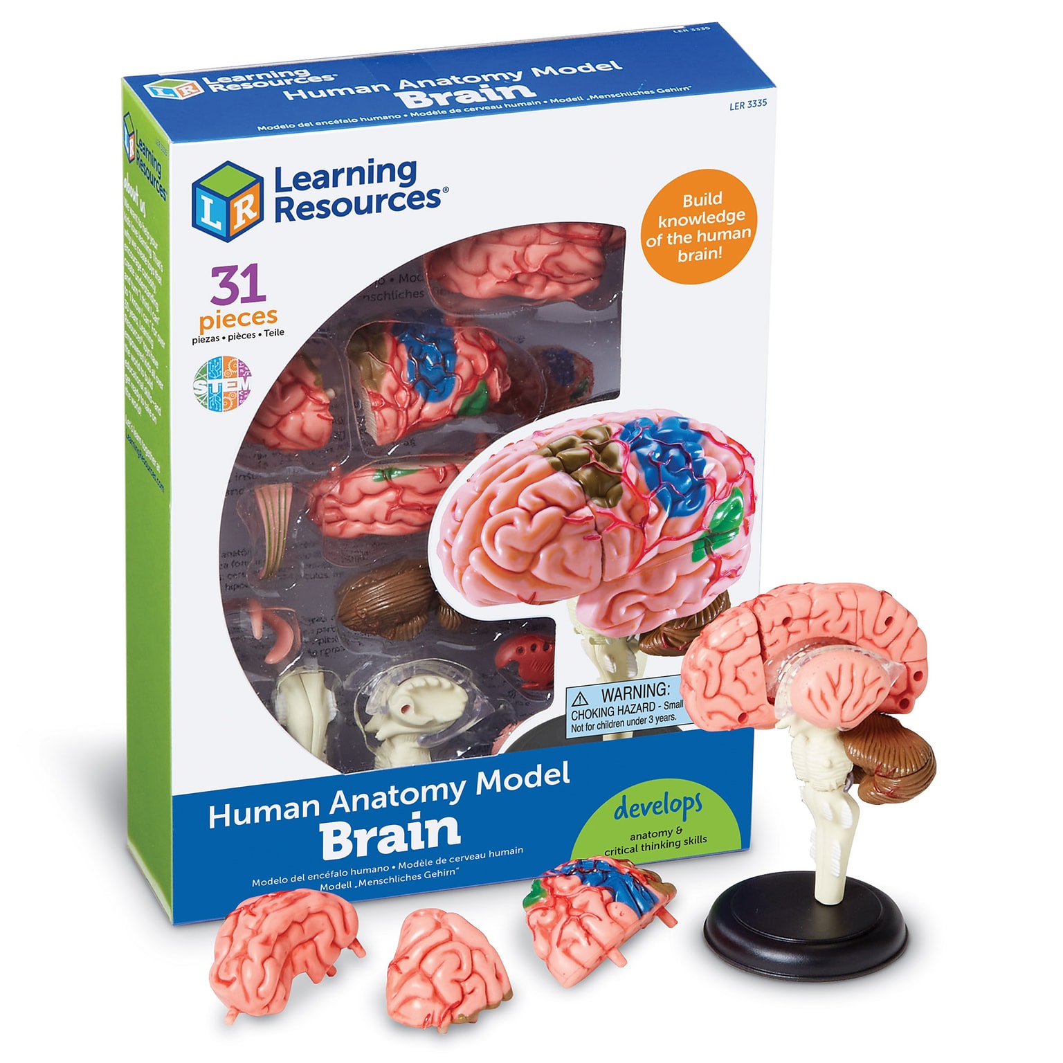 Learning Resources Brain Anatomy Model (LER3335)