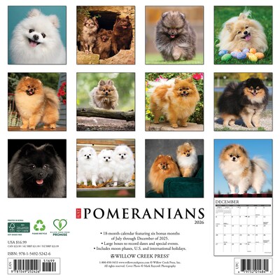 2026 Willow Creek Pomeranians 12 x 12 Monthly Wall Calendar (52426)