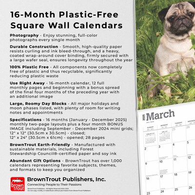 2025 BrownTrout Pugs 12" x 12" Monthly Wall Calendar (9781975477585)