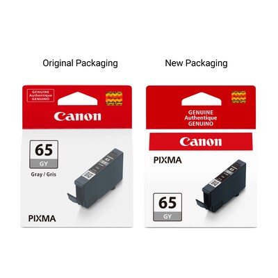 Canon 65 GY Gray Standard Yield Ink Cartridge (4219C002)