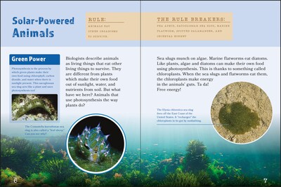 Animals That Break the Rules Picture Book, Hardcover