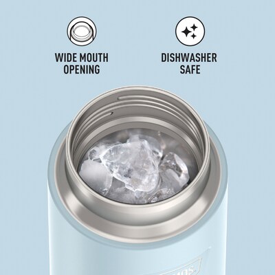 Thermos Icon Stainless Steel Vacuum Insulated Water Bottle with Straw Lid, 32 oz., Glacier (IS2332GC4)