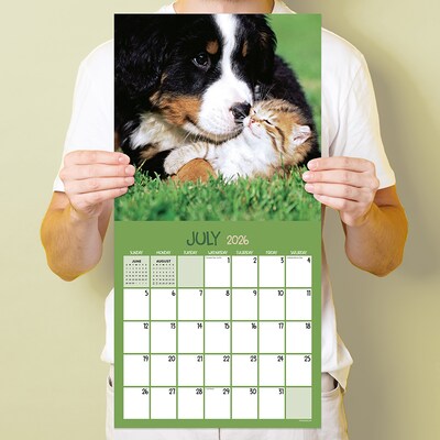 2026 TF Publishing Furry Friends 12" x 12" Monthly Wall Calendar (26-1011)