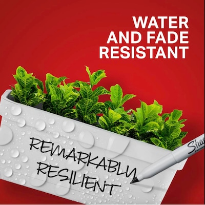 Sharpie Permanent Markers, Extra Fine Point (0.4mm), Black, 12/Box (2237936 )