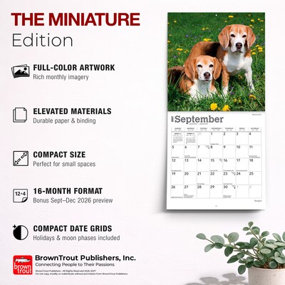 2027 BrownTrout Beagles 7" x 7" Monthly Wall Calendar, Assorted Colors (9798330709885)