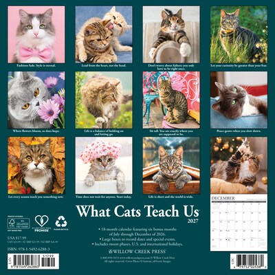 2027 Willow Creek 12 x 12 Monthly Wall Calendar, Assorted Colors (62883)