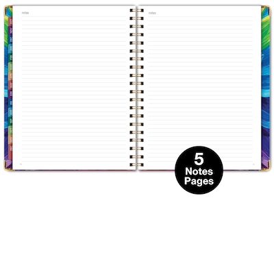 2027 Excello Brands 9" x 11" Weekly & Monthly Standard Planner, Paperboard Cover, Rainbow Petals (FSHN-CY27-8511-41)