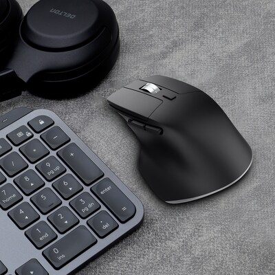 Delton S18 Wireless Ergonomic Optical Mouse, Black (DMS18-WB)
