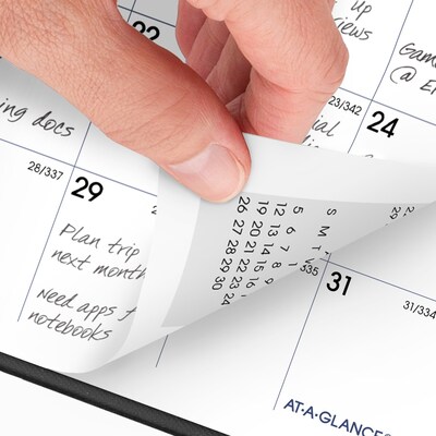 2026 AT-A-GLANCE DayMinder 3.5" x 6" Monthly Planner, Plastic Cover, Black (SK53-00-26)