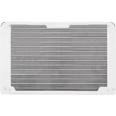LG 115-Volt 8,000 BTU Window Air Conditioner with Remote, White (LW8024R)
