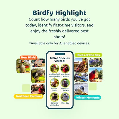 Birdfy Feeder Bamboo Mini with Camera, Solar Panel and Free AI Lifetime Subscription, Black & Brown (EPPAMBNI8412110)