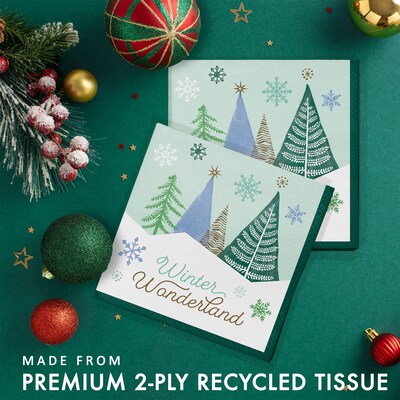 Creative Converting Winter Wonderland Christmas Paper Napkins, 48/Pack (DTC371875NAP)