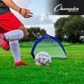 Champion Sports 30x18 Aluminum and Nylon Soccer Goal. Blue and White, (CHSSG3018)