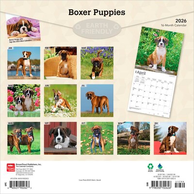 2026 BrownTrout Boxer Puppies 12 x 12 Monthly Wall Calendar (9798330702626)
