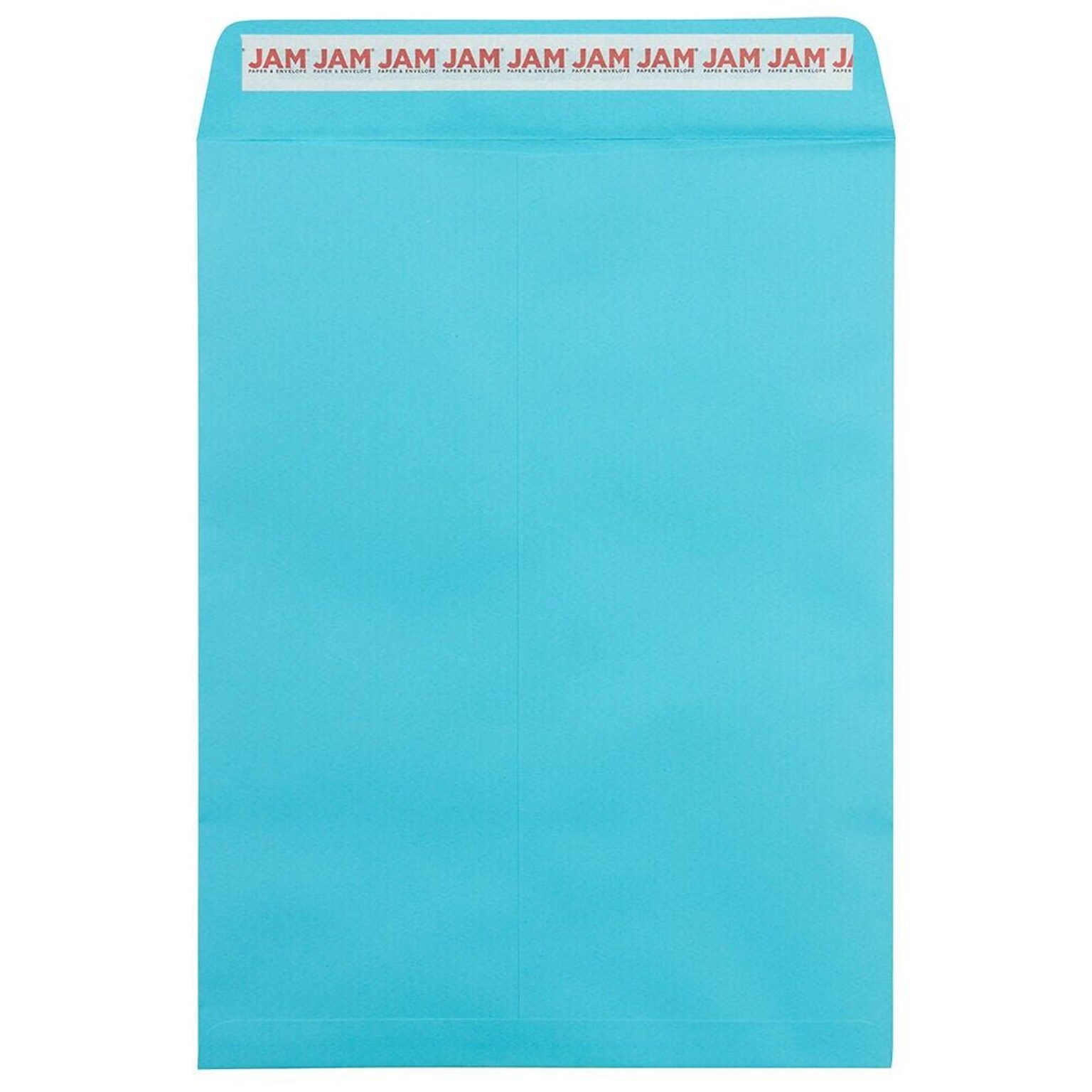 JAM Paper Self Seal Catalog Envelope, 9 x 12, Blue, 50/Pack (188047509I)