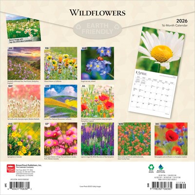 2026 BrownTrout Wildflowers 12 x 12 Monthly Wall Calendar (9798330706365)