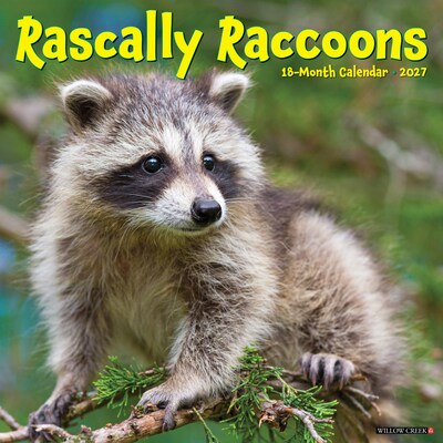 2027 Willow Creek Rascally Raccoons 12 x 12 Monthly Wall Calendar, Assorted Colors (62029)