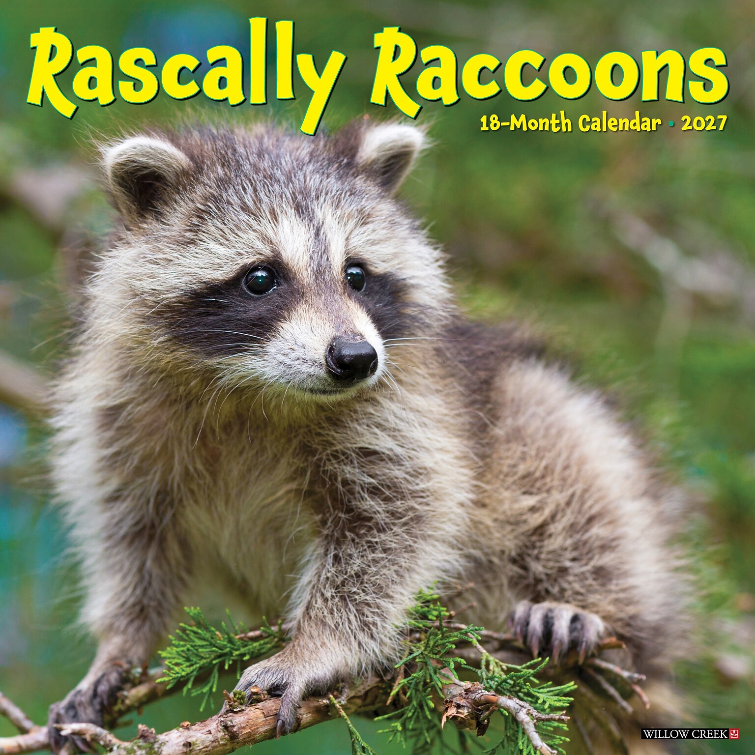 2027 Willow Creek Rascally Raccoons 12 x 12 Monthly Wall Calendar, Assorted Colors (62029)