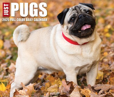 2025 Willow Creek Pugs 6" x 5.5" Day-to-Day Calendar (40997)