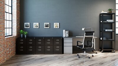 Hirsh Commercial 2-Drawer Vertical File Cabinet, Letter Size, Lockable, 28.375"H x 15"W x 22"D, Black (17785)