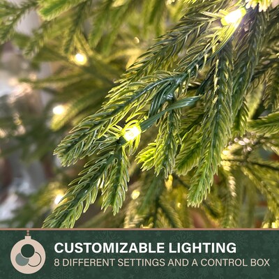 Fraser Hill Farm 4' Real Feel Pre-Lit Artificial Christmas Trees (FFRF048P-5MGR)