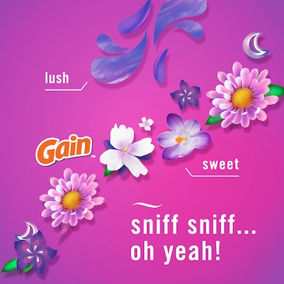 Febreze Air Mist Air Freshener Spray, Gain Moonlight Breeze Scent, 8.1 oz., 2/Pack (4146/78091)