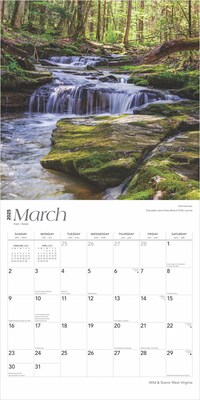 2025 BrownTrout West Virginia Wild & Scenic 12" x 12" Monthly Wall Calendar (9781975475918)