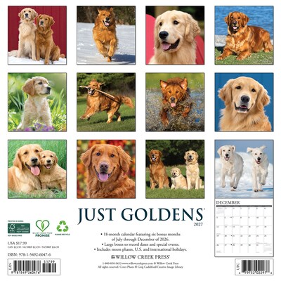 2027 Willow Creek Goldens 12 x 12 Monthly Wall Calendar (60476)