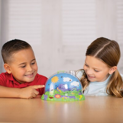 Insect Lore Ladybug Land Hatching Kit (ILP2100)