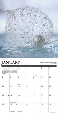 2026 Willow Creek Inspirations 12" x 12" Monthly Wall Calendar (51566)
