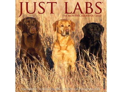 2023 Willow Creek Just Labs 12 x 12 Monthly Wall Calendar (26601)