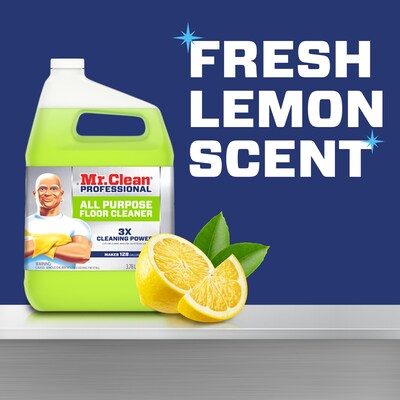Mr. Clean Professional Liquid Concentrate All Purpose Floor Cleaner, Lemon Scent, 1 Gallon (02621)