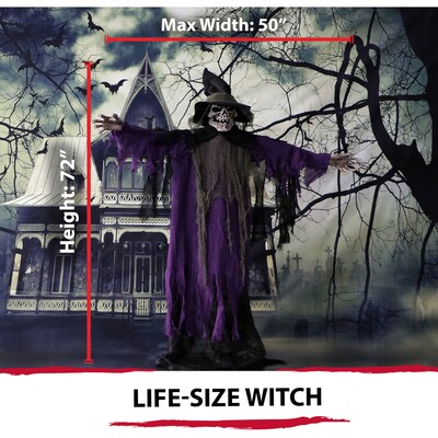 Haunted Hill Farm Life-Size Poseable Skeleton Witch (HHWITCH-6FL)