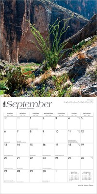2026 BrownTrout Texas Wild & Scenic 12" x 12" Monthly Wall Calendar (9798330705825)