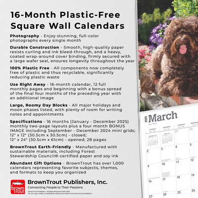 2025 BrownTrout Labradoodles 12" x 24" Monthly Square Wall Calendar, (9781975477295)