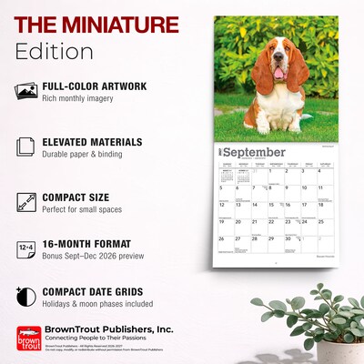 2027 BrownTrout Basset Hounds 7" x 7" Monthly Wall Calendar, Assorted Colors (9798330714094)