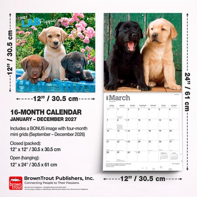 2027 BrownTrout Labrador Retriever Puppies 12" x 12" Monthly Wall Calendar (9798330712519)