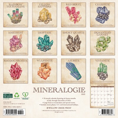 2025 Willow Creek Mineralologie 12 x 12 Yearly Wall Calendar (46494)