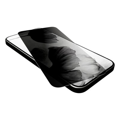 cellhelmet Tempered Glass Privacy Filter & Screen Protector for iPhone 17 Air with Repair Protection (CHELSP124C000)