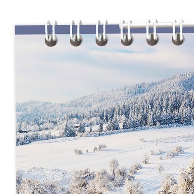 2026 AT-A-GLANCE Landscape 12" x 12" Monthly Wall Calendar, (88200-26)