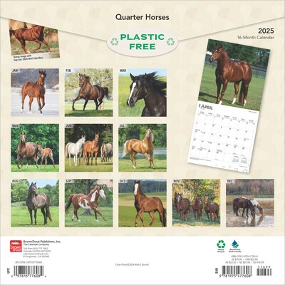 2025 BrownTrout Quarter Horses 12 x 12 Monthly  Wall Calendar (9781975477608)