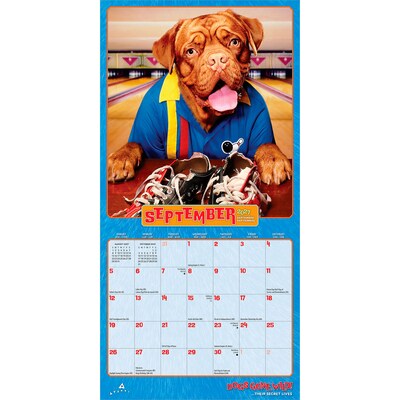 2027 BrownTrout Avanti Dogs Gone Wild 7" x 7" Monthly Wall Calendar, Assorted Colors (9798330712953)