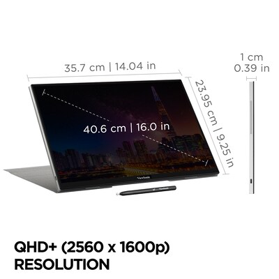 ViewSonic 16" 60Hz LED Monitor, Black (TD1656-2K)