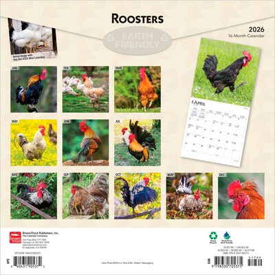 2026 BrownTrout Roosters 12 x 12 Monthly Wall Calendar (9798330705375)