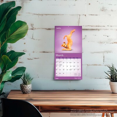 2026 BrownTrout Yoga Puppies 7" x 7" Monthly Wall Calendar (9798330701988)