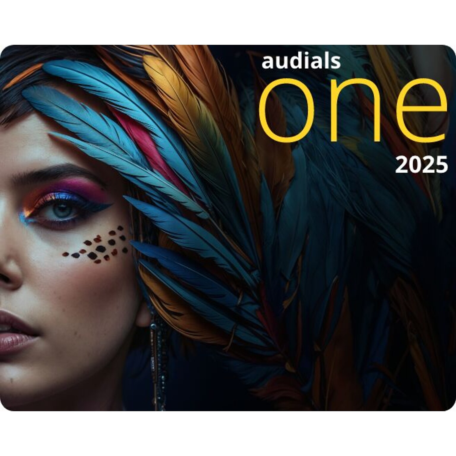 Audials One 2025 for 1 User, Windows, Download (11471-E)