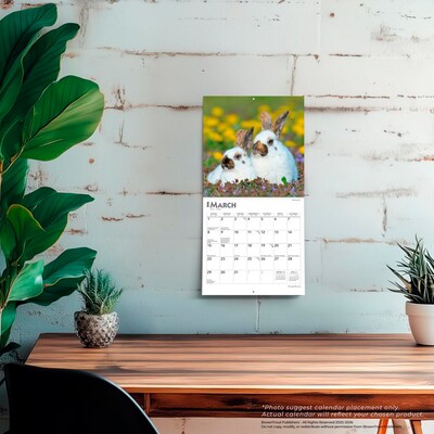 2026 BrownTrout Honey Bunny 7" x 7" Monthly Wall Calendar (9798330703647)